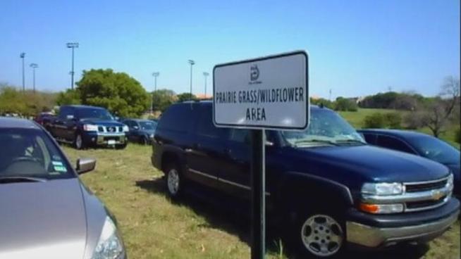 Hal Barker blames the city after too many cars with too few parking spaces forced some people to park in the middle of a protected area trampling the native wildflowers and grasses