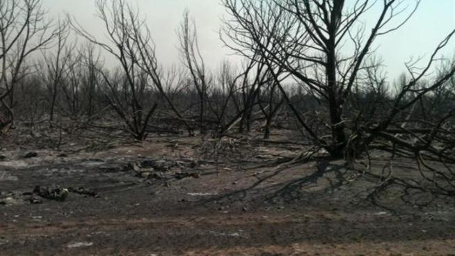 Fires are still burning in Palo Pinto where residents are getting their first glimpse at the damage.