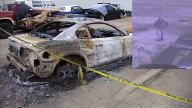 A vandal smashed the windows of several classic Mustangs at a Forney shop and then set them on fire on Christmas morning.