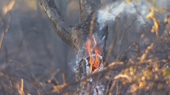 Fire crews from Hurst, Euless, Grapevine, Colleyville and DFW Airport worked more than five hours to contain the fire that burned roughly 15 acres near Dallas/Fort Worth International Airport Thursday evening.