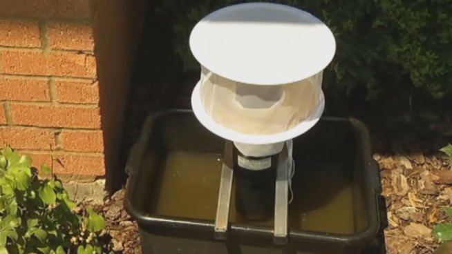 Fort Worth is waiting to receive results from mosquito traps to decide the next steps in the battle against West Nile virus carrying mosquitoes.