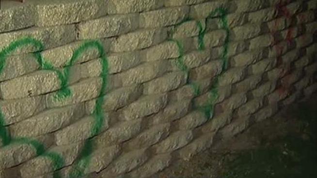 Dozens of red and green hearts have been spray-painted along a Plano street.