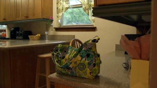 Dallas police say Lake Highlands has had as many as 10 cat burglaries in recent weeks.