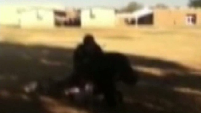 Evaluations of the officer seen on a YouTube video threatening a teenager and kneeing him in the head during an arrest paint a picture of a hard-working officer who has done a good job of catching drunken drivers and helping crime victims.