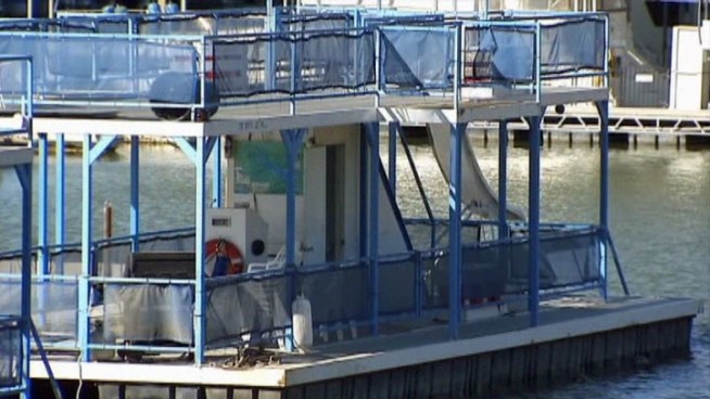 The Andrews planned a birthday party on Lake Grapevine, but when they arrived at the marina they were told the toilet wasn't working on the boat they rented for 40 friends. NBC 5 Problem Solver Kimberly King helped them get their deposit back.