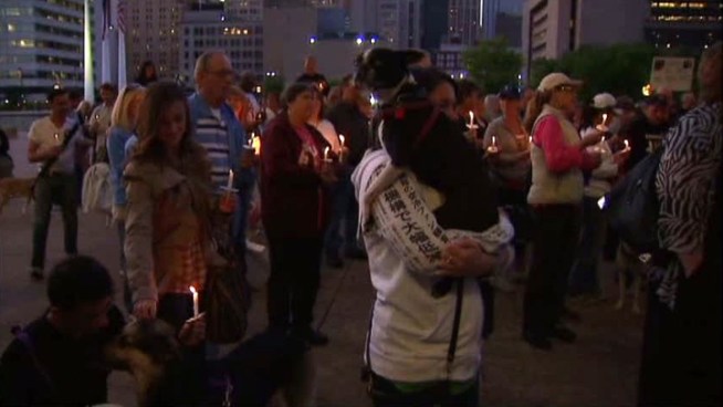 An 18-year-old wanted in the attack on stray puppy Justice surrendered to police Friday night. News of his arrest was announced at a vigil for Justice, which died Sunday of complications from third-degree burns.