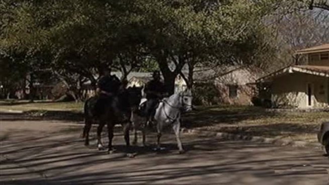 The Dallas police are continuing their ongoing search for the person or persons responsible for three sexual assaults in Lake Highlands.