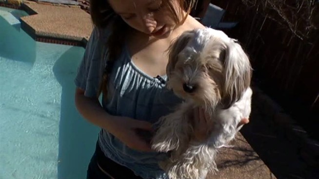 It took almost 24 hours to rescue a dog named Molly in North Dallas.