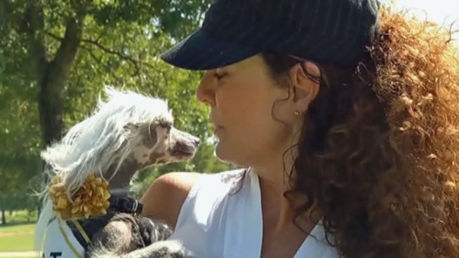 Stacy Yarbrough says her little dog Olive would never have survived a brutal attack at Bob Woodruff Park in Plano if not for the kindness of strangers.