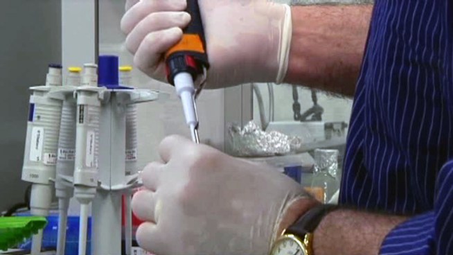 Researchers are trying to breed crops that can handle the Texas heat.