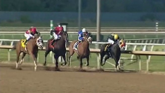 A bill in Austin would make it legal to play poker for profit horse and dog racing tracks as well as bingo halls. Similar bills have failed in the past.