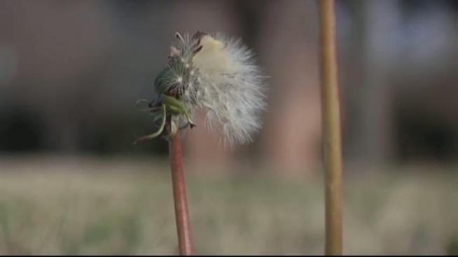 Strong winds carrying dust and pollen from West Texas and Mexico this past weekend created several respiratory issues.