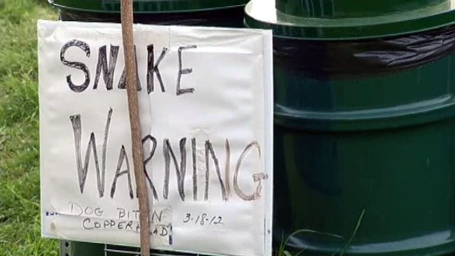 Signs at Harry Moss Park in Dallas warn visitors about snakes after a dog was bitten.