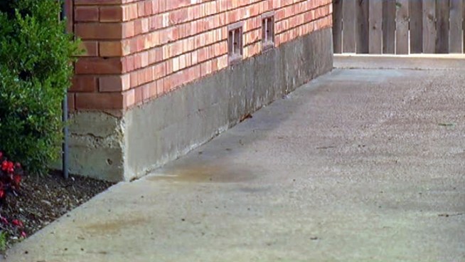 Dallas police say car thieves are changing the way they do business.