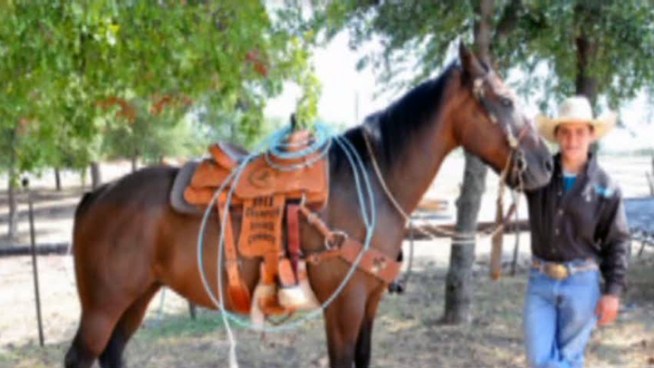 A saddle thief stole a 16-year-old's $2,000 North Texas High School Rookie of the Year trophy saddle right off his horse.