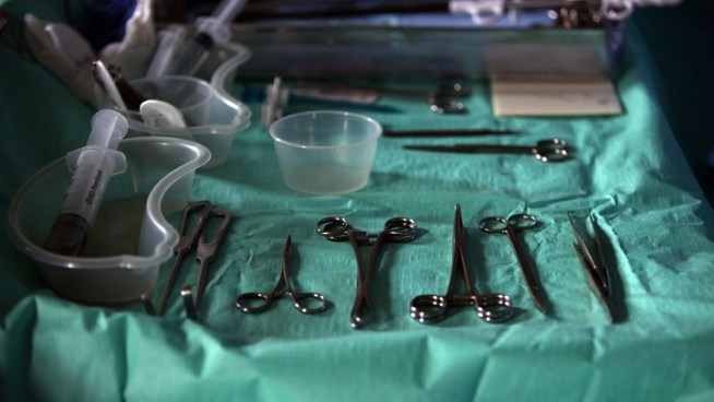 Willed body programs at nine Texas schools, including two chiropractic and one dental school help medical students.