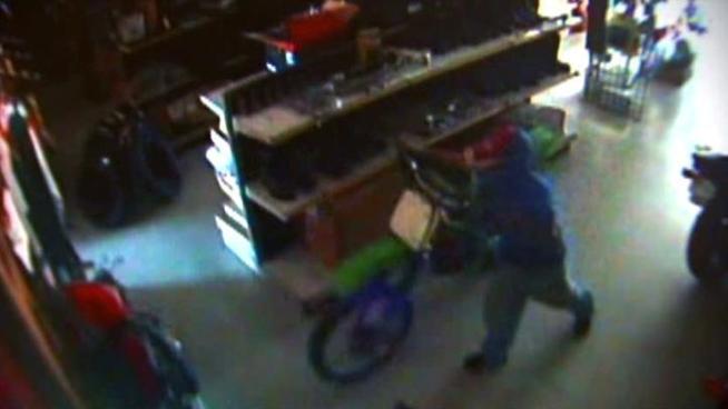 Police say one of three men who broke into a Garland motorcycle shop is barely taller than 4 feet.