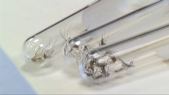 A new report published in Dallas called Tarrant County numbers of West Nile virus into question -- but Tarrant County Public Health says those estimated numbers in the report aren't accurate.