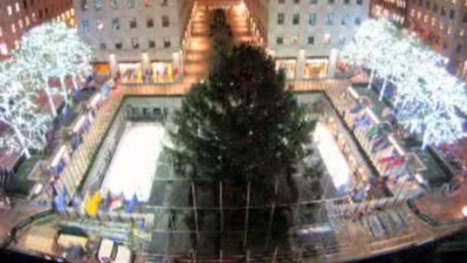 Check out this awesome time-lapse video of the Rockefeller Center Christmas tree arriving in the plaza and being hoisted onto its pedestal as workers prep it for its big night. The lighting ceremony is tonight on NBC.