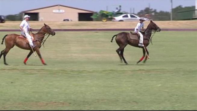 Prestonwood Polo and Country club is teaching kids the sport in an effort to grow its popularity.