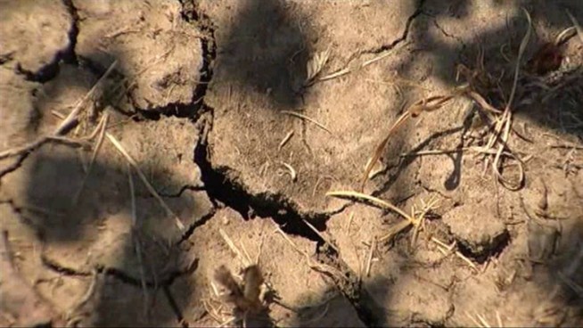 Homeowners are feeling the heat in Willow Park just west of Fort Worth, where a stage 5 water restriction is being enforced.