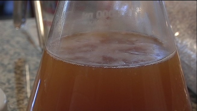 Learn to make any flavor of beer you want...with some preparation.