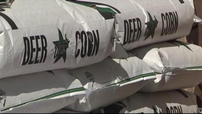 The cost of deer feed has shot up in North Texas.