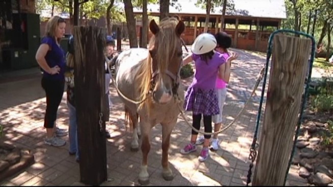 The drought has pushed one North Texas riding center to the limit.