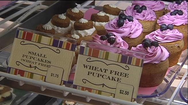 Three Dog Bakery offers homemade fresh pastries for dogs and you.