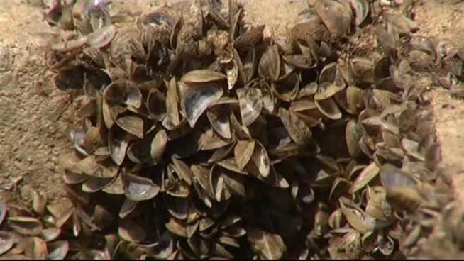 With the drought to continue, executive director of the North Texas Municipal Water District says North Texas is in desperate shape for water from Lake Texoma.