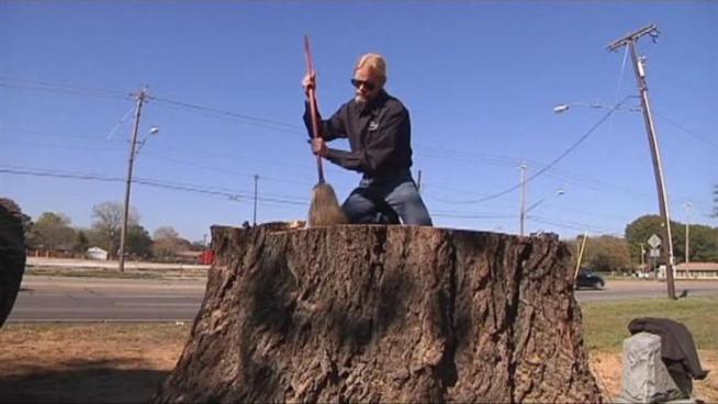 The loss of a historic 150-year-old red oak tree in Garland has changed the landscape for visitors and drivers.