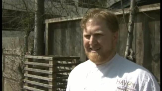 Some thieves might truly have sticky fingers after a 500-pound beehive was swiped from a garden outside a Houston restaurant.