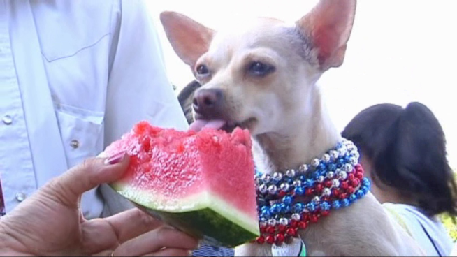 Irving residents come out for an annual tradition as they celebrate the fourth with a parade, music, food and drink.
