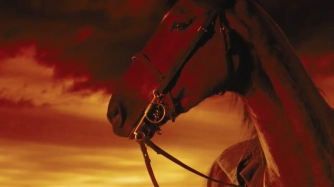 http://media.nbcbayarea.com/images/warhorsegrab722_722x406_2147863127.jpg