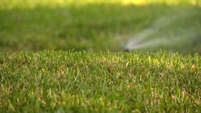 The North Texas Municipal Water District will meet in late January to decide if it should implement Stage 4 water restrictions.