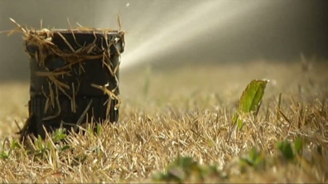 Daylight Savings triggers a change in watering restrictions for Frisco residents.