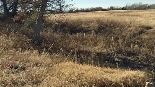 The Texas A&M Forest Service is warning there could be an active wildfire area from Tyler all the way west to the Texas-New Mexico border.
