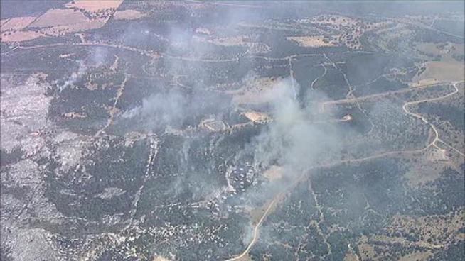The Texas Forest Service says a firefighter died while battling a wildfire near Mineral Wells.