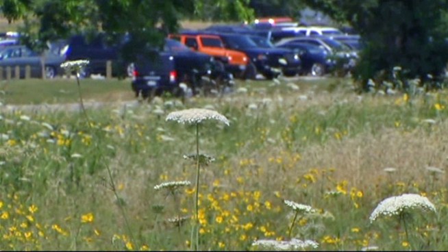 As the Chihuly exhibit opens Saturday at the Dallas Arboretum, art seekers were met by protesters who want to keep parked cars out of Winfrey Point.