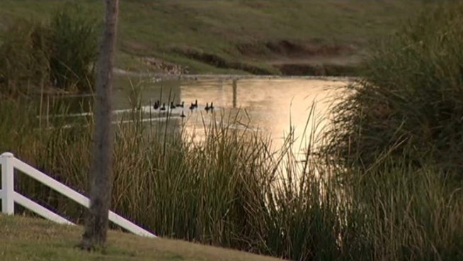 A Watauga resident in his 40s with West Nile virus who did not have underlying medical conditions has died. His death is the ninth fatality in Tarrant County this year.