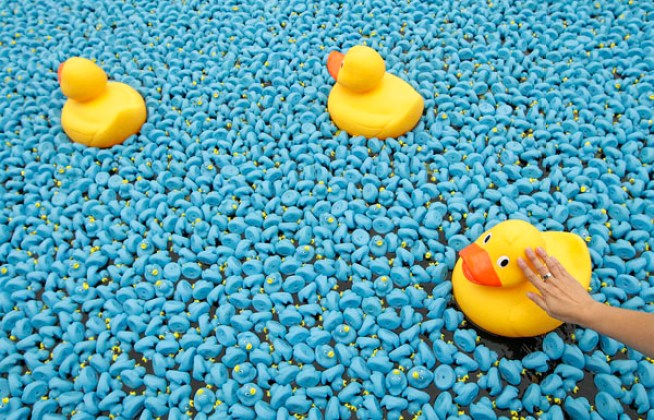 Counter Intelligence: Rubber Ducks, Soccer Moms and Lots of Ice