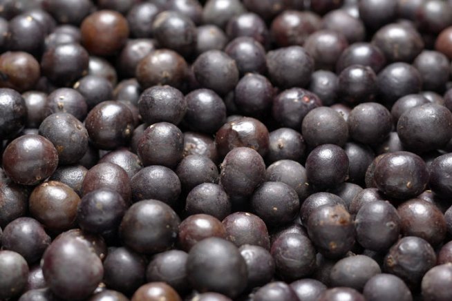 BBB Says Acai Berry Trial Offers Not So Sweet