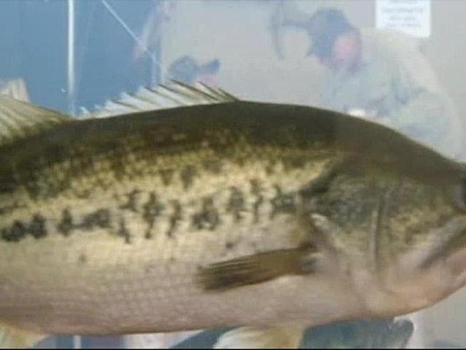There are more than 2.6 million hunters and anglers in <a title=