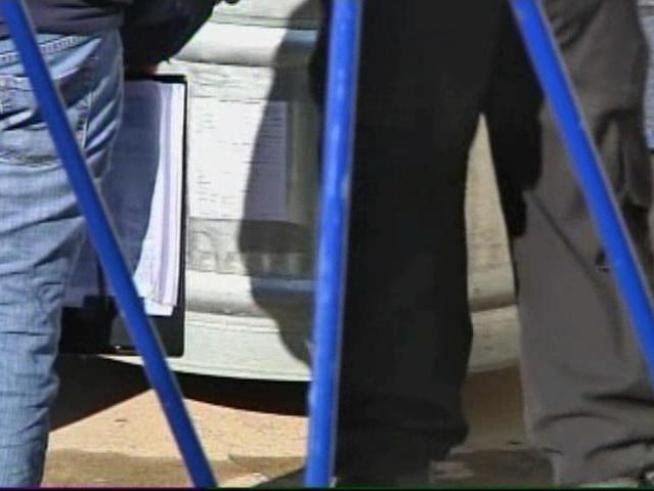 More than 1,000 animals were seized from an exotic pet dealer in Arlington on Dec. 15.
