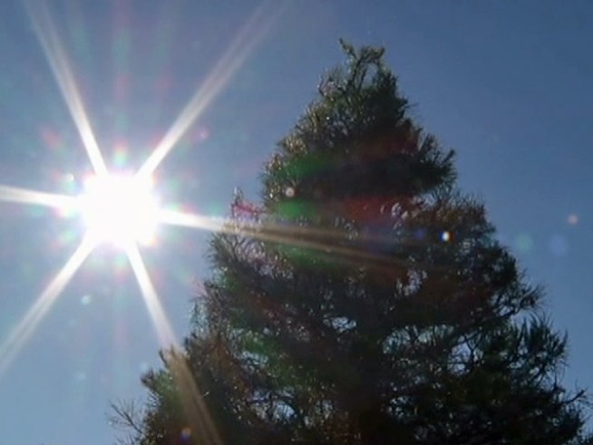 Christmas tree farms across <a title=
