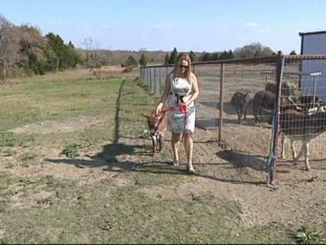 Sunny the donkey was missing for about two weeks, but thanks to a stranger he's back home in Sunnyvale.