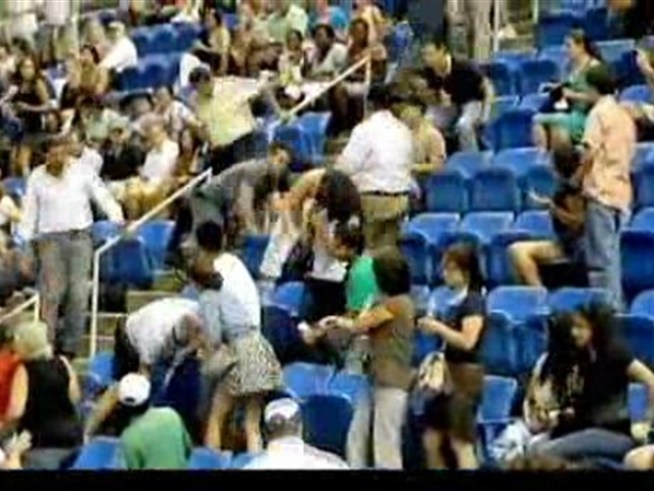 A brawl between fans in the stands Thursday night briefly stopped a match between <a title=