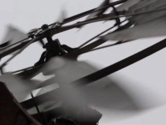 Artist uses the elements like wind and water in his creations.