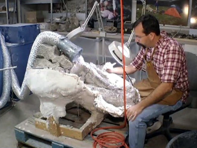Never-before-seen dinosaur fossils will go on exhibit when the <a title=