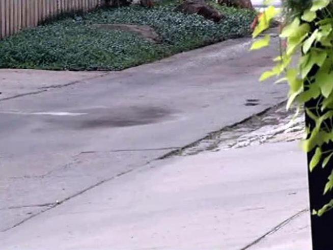 Dallas police say robbers violently attacked a man in the alley behind his Oak Lawn home early Saturday.